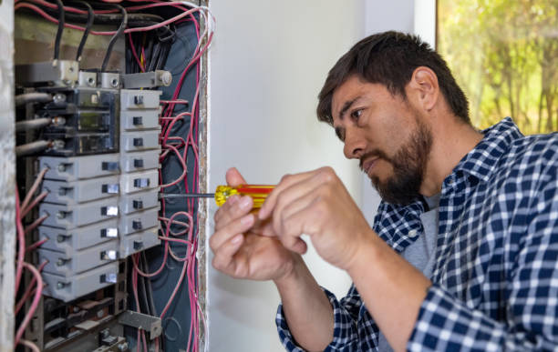 Best Electric Panel Repair  in Lake Of The Woods, VA